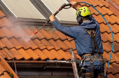 Démoussage et hydrofuge de toiture à Gellin